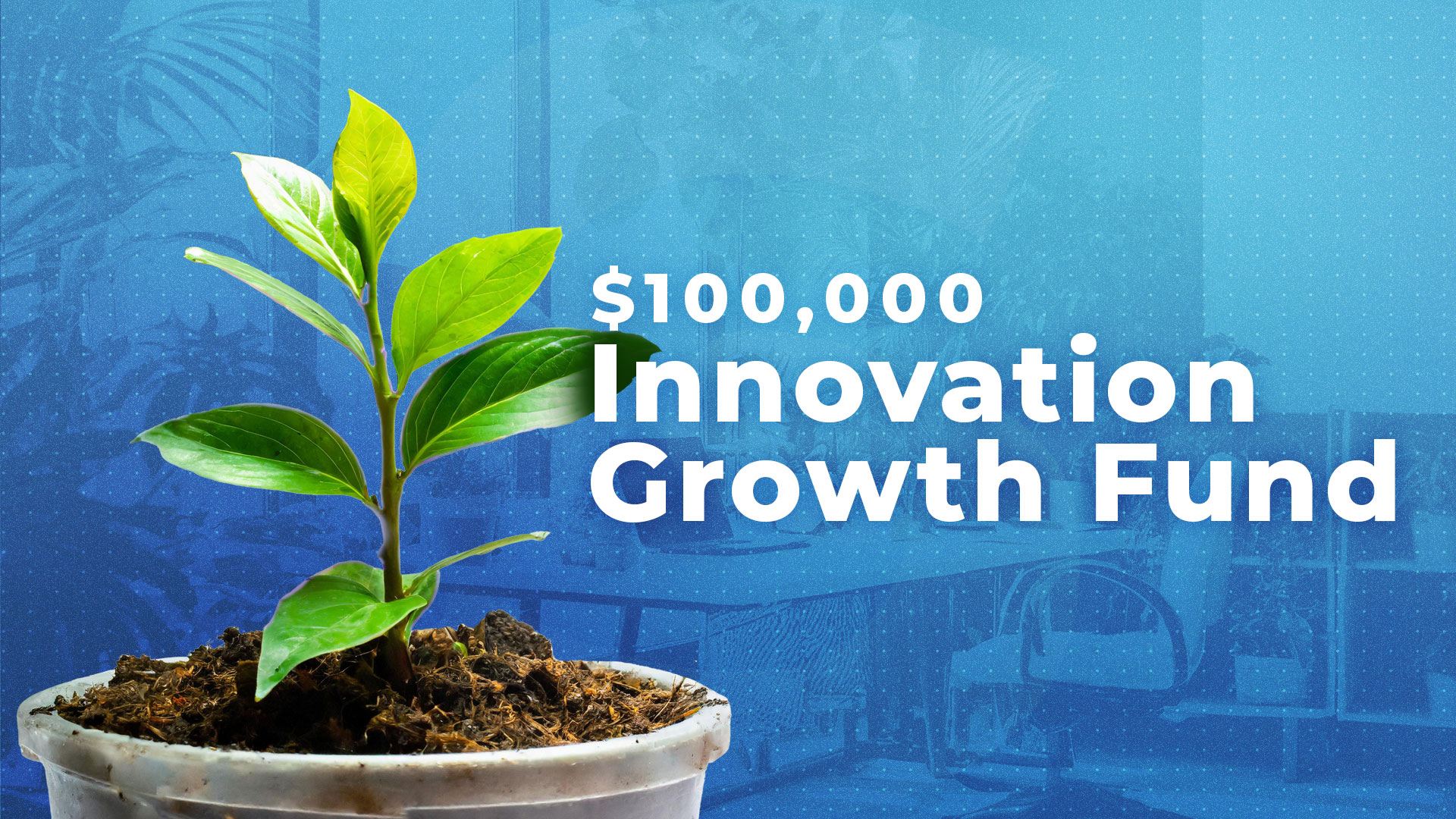 Photo of a plantling, with the text "$100k Innovation Growth Fund"